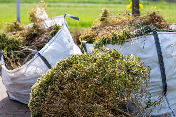 Best Dumpster Rental Services  in Brunswick, OH